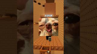 A VERDADE SOBRE MEU “AMIGO” 💔😂 #roblox #rblx #robloxedit #relatos