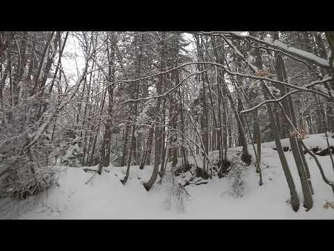 Drumul vechi - Poiana Brașov (iarna 2018 - p2)