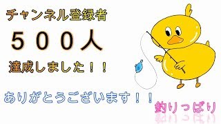 【館山釣り情報】ご趣味は？アジが少々・・・(*'▽')　4/24【釣りっぱり】