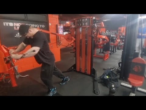 Spring Bulk Day 28-Chest