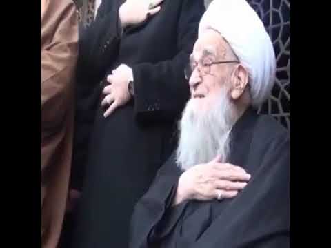 ⁣الصافي المصفى ، آية الله  الشيخ لطف الله الصافي الكلبايكاني حفظه الله.