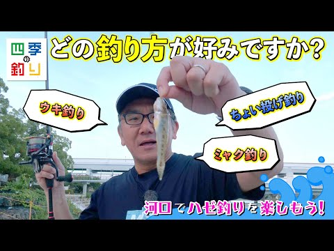 どの釣り方が好みですか?河口でハゼ釣りを楽しもう!(四季の釣り/2023年9月1日放送)