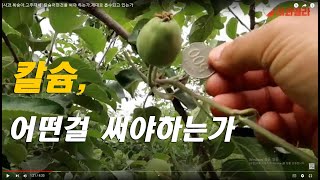 [사과재배] 칼슘은 이동이 잘 되어야 한다.이동 잘되는 칼슘은 ?