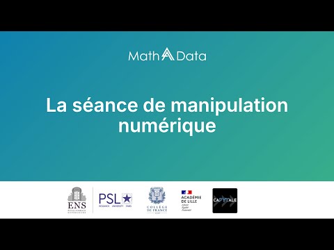 Séance 2 - Activité numérique