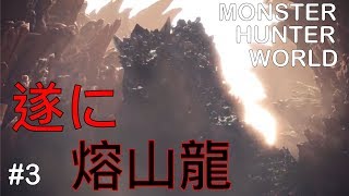 【MHW】熔山龍捕獲作戦！！