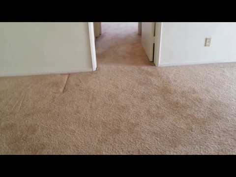 Huge 1 Bedroom Apartment For Rent In WLA / Palms  - Sepulveda & Palms -  562Rent.com