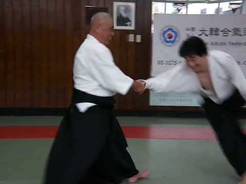 2010年 Aikido Kobayashi Yasuo Shihan 8th Dan (小林保雄)