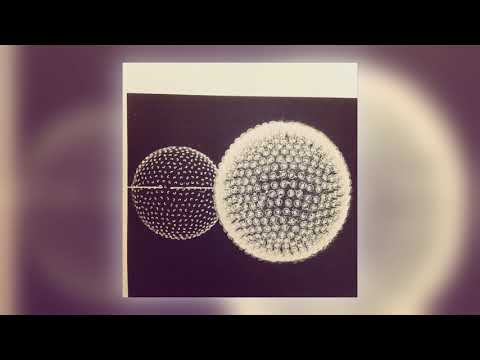 Linkwood - Love Lost [Audio] (12 of 12)