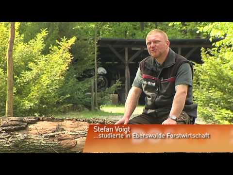 Unterwegs mit dem Revierförster (Dossier 24) - Teil 1