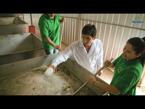 PROCESO DE ELABORACIÓN DE LA PANELA - CALLAYUC