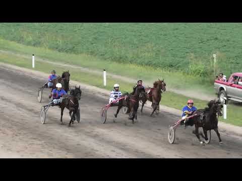 Trka"Agro Ravangrad-Sombor"05 08 2018 San Siro-Ivica Mukić