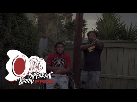 WaymoBandzz x SuaveBandz - In Shape (Official Music Video) (Directed By:Different Breed Productions)
