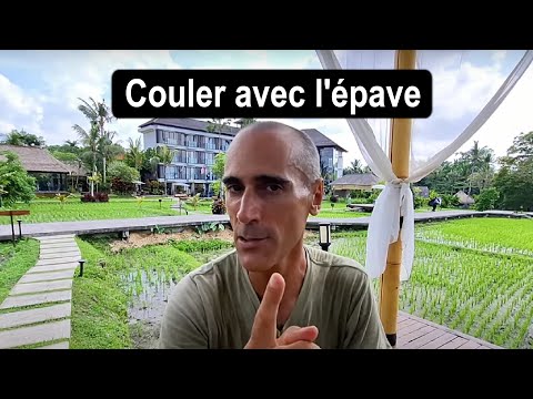 Why sink with the wreck of France? Suffer the collapse or flee France?