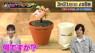 望月理恵×ソウル【DAIGOのお願い!ワールドツアー】3月21日(火)夜9時放送