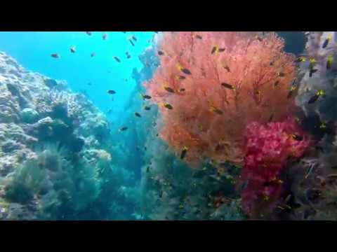 Freediving Misool - Raja Ampat