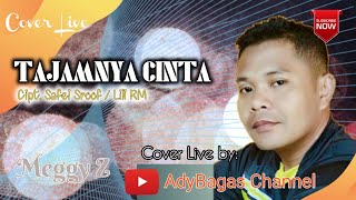 Download lagu Tajamnya Cinta ¦¦ Meggy Z ¦¦ Cover Live AdyBagas Channel mp3