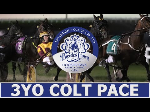 2017 Breeders Crown - Beckham's Z Tam - 3YO Colt Pace