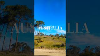 新しい自分が見つかる/リラックスtime/ Australia/Perth/travel/Drive#nature #shorts #shortvideo