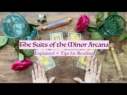 Learning the Tarot: The Suits of the Minor Arcana Explained + Tips for Reading 🍷⚔️🪄⭐️