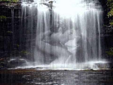 PARO DE MI CORAXON.reb