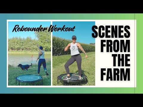 12 Minute Country Music Rebounder Workout | Beginner Friendly Low Impact Mini Trampoline Cardio thumbnail