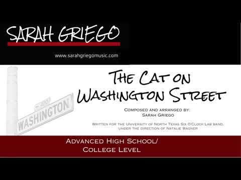 The Cat on Washington Street video thumbnail