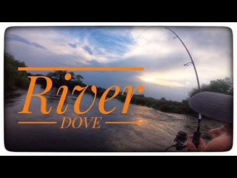MASSIVE PIKE RIVER DOVE + CHUB AND TROUT