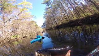 preview picture of video 'Big bass on the little satilla river'
