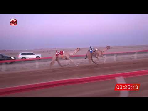  ش 1 (الحذره) لـ عبيد راشد بن ناصر الدرعي 4:43:50 ، مهرجان العين 2026/07/07 لقايا الوقن