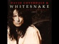 Whitesnake - Last Note Of Freedom