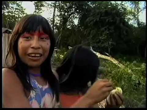 Das crianças Ikpeng para o mundo