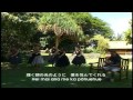 Keali'i Reichel - Ka Nohona Pili Kai 涙そうそう ...