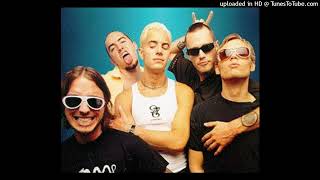 311 - Guns (are for pussies) live