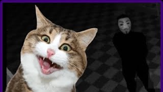 ЭТО МОЙ СНЮС!!! | Five nights at Snusoed's | 1 ночь |