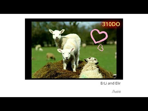 c18. Anicon 9 - ErLi and Elir