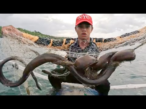 P1- HINDI INAASAHAN! AHAS SA DAGAT NAHULI SA LAMBAT | MALABANOS