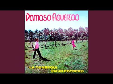 Tres Reglamentos Del Llano