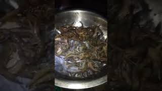 Download lagu Boholana mix vlog tv namokot og ng hipon ang mga student #viral mp3