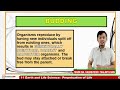 GRADE 11 EARTH AND LIFE SCIENCE Q2 PERPETUATION OF LIFE