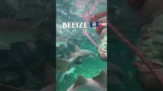 Top 5 Activities for adventure Travelers in Central America #adventure