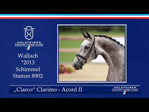 Holsteiner Sommerauktion | Nr. 13 - Clarco v. Clarimo - Acord II