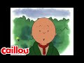 Caillou Is Scared Of Camping Caillou WildBrain Learning For Kids