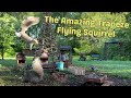 The Amazing Trapeze Flying Squirrel