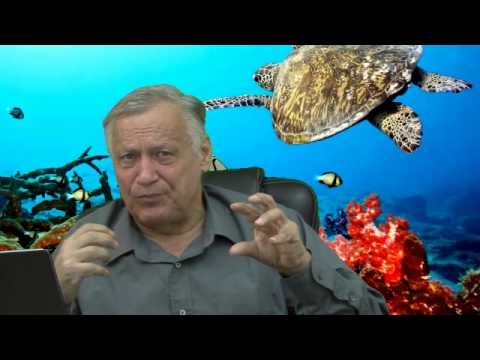 Cu Diavolul pe Beagle