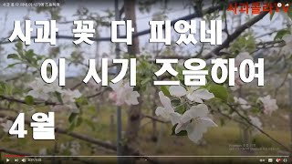 사과 꽃 다 피네.이 시기에 즈음하여