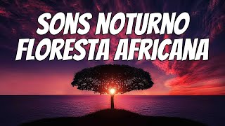 sons noturnos da floresta africana Recanto do sono