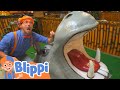 Blippi Explores Jungle Animals Blippi Moonbug Kids