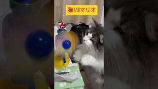 【猫VSマリオ】扇風機が気になりすぎる猫　　＃猫