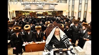 בְּמוֹצָאֵי מְנוּחָה קִדַּמְנוּךָ תְּחִלָּה - א' דסליחות בחצה"ק ספינקא ימי הרחמים והרצון תשפ"ו