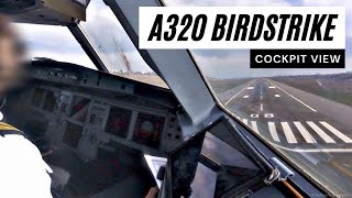 Airbus A320 - Birdstrike near 50ft - COCKPIT VIEW - Landing at Kiev - GoPro Pilot's View